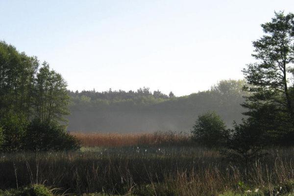 Fewo Ferien Am Schweriner See Flessenow Exterior foto